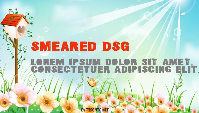 Smeared DSG example